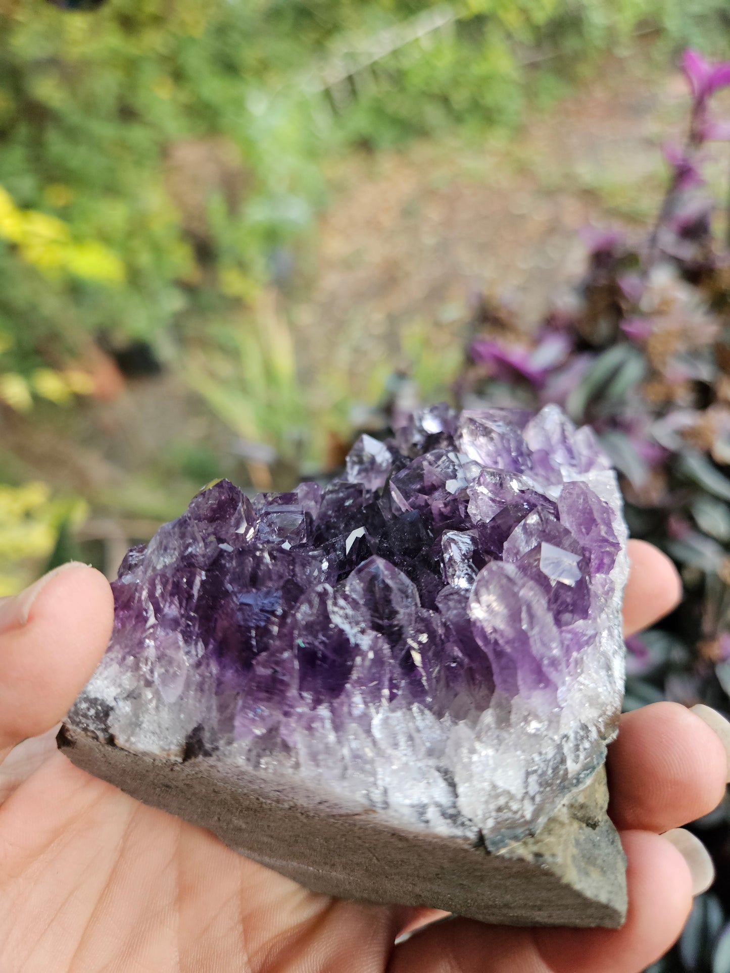 Purple Amethyst 3
