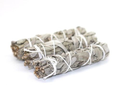 Ethically Sourced White Sage Smudge Stick - Medium