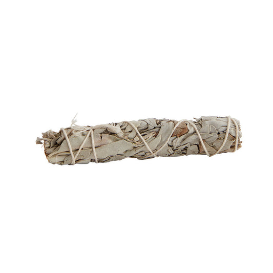 California mini white sage smudge stick