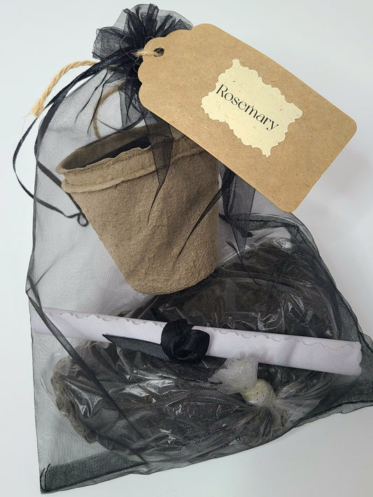 Magical Healing Herb Garden Kit