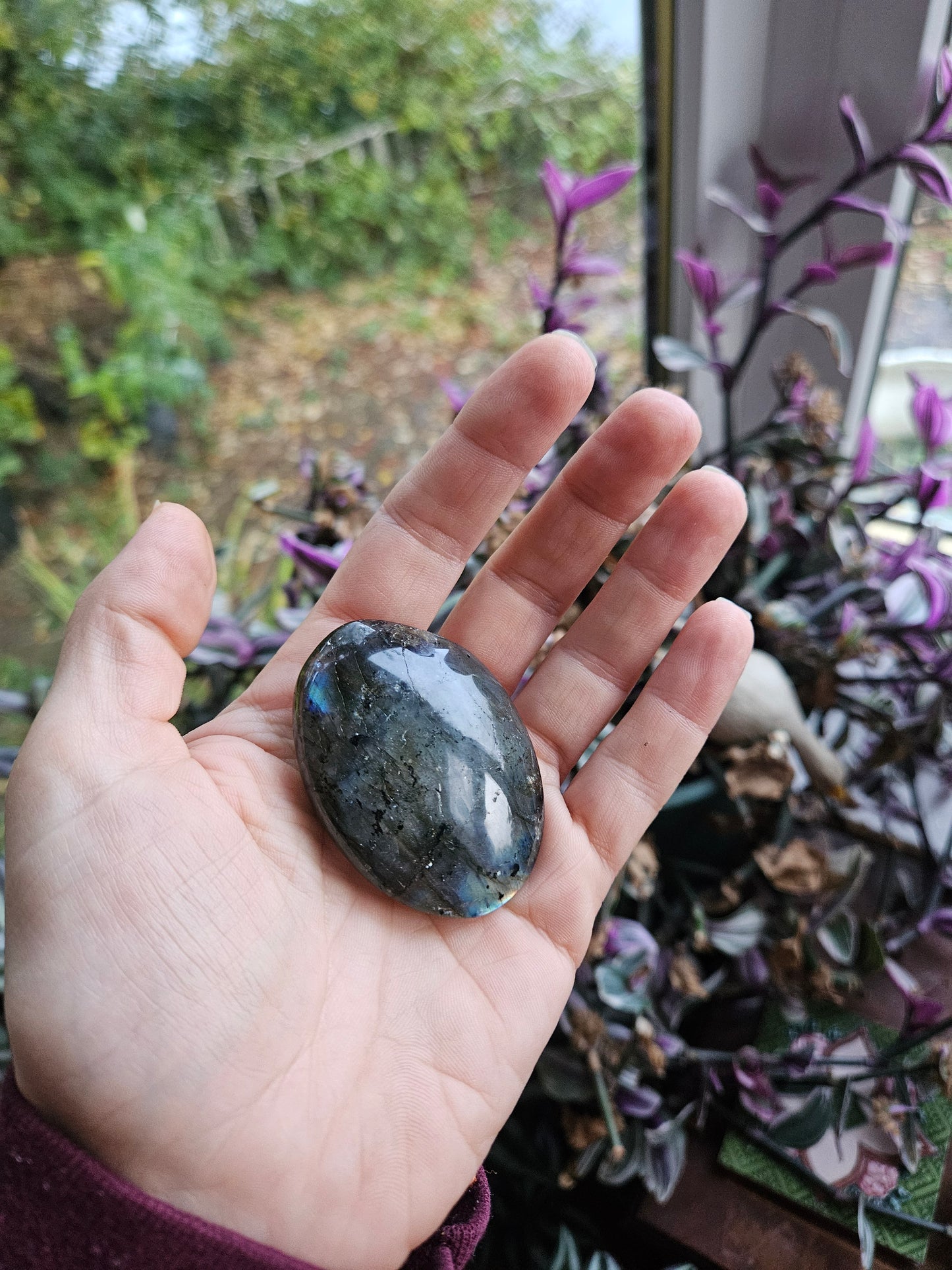Labradorite Palm Stone 1