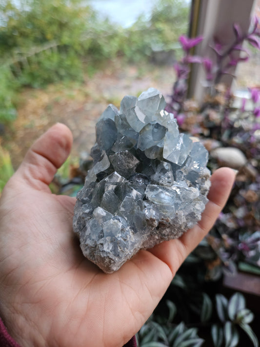 Celestite 1