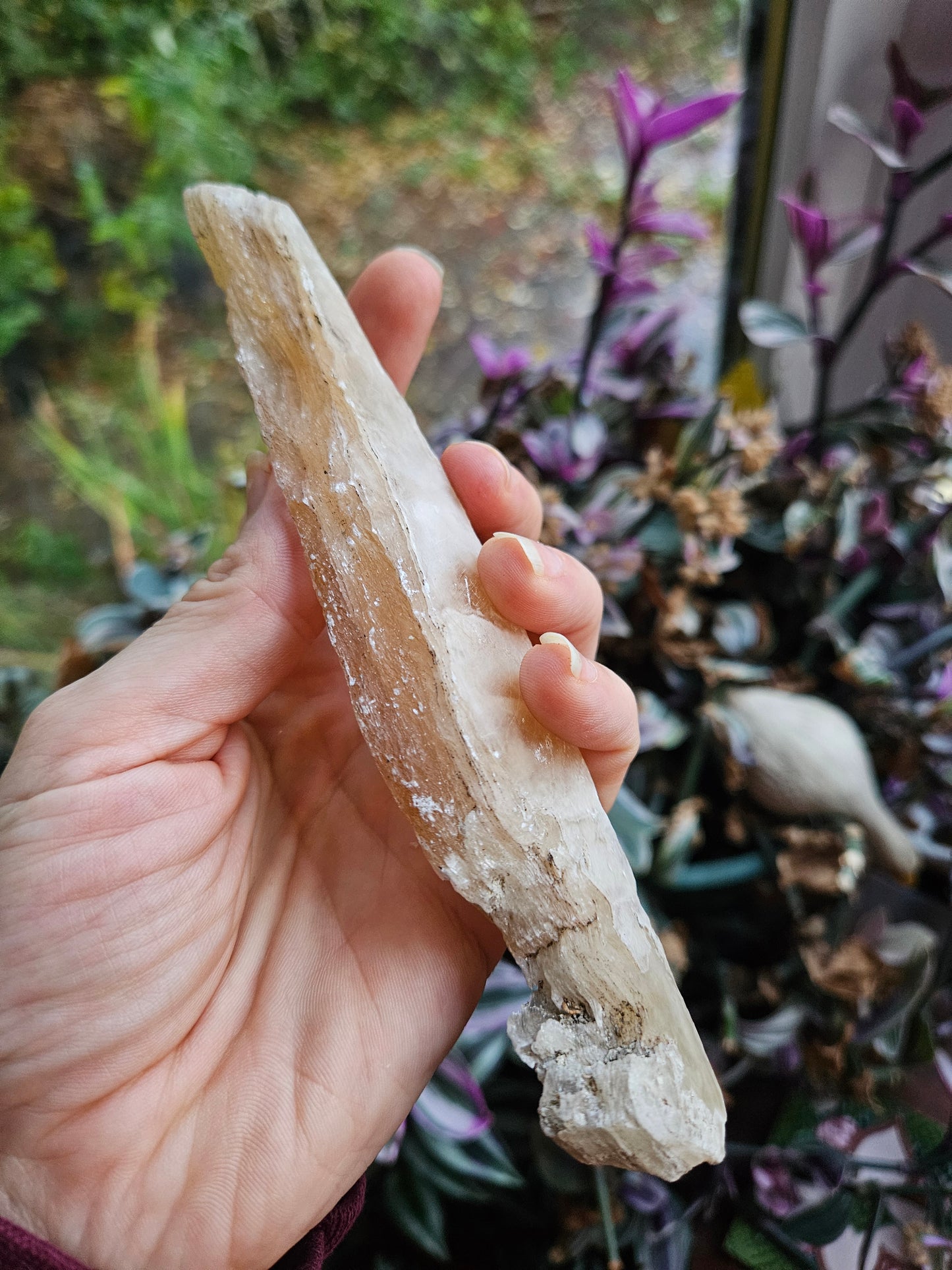 Fishtail Selenite 'dagger'