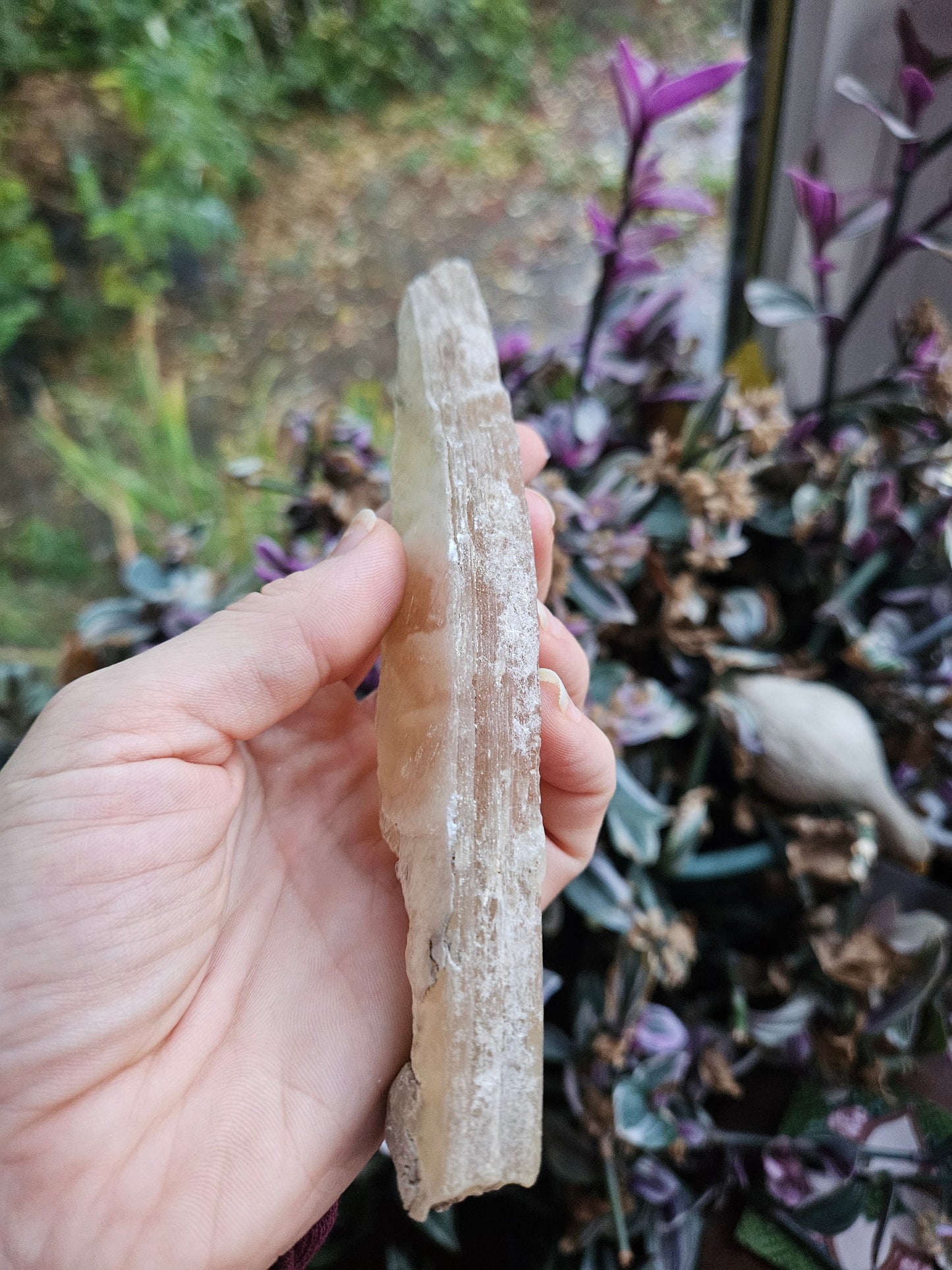 Fishtail Selenite 'dagger'