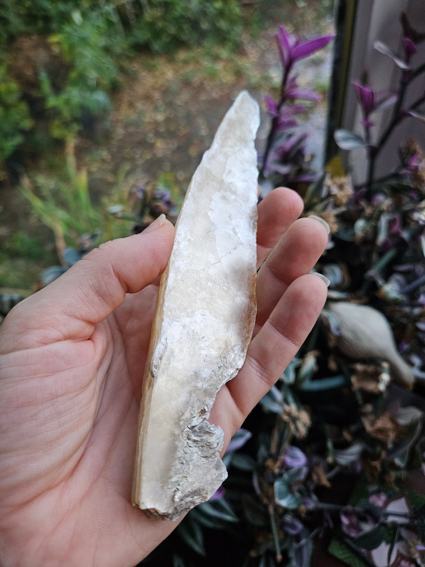 Fishtail Selenite 'dagger'