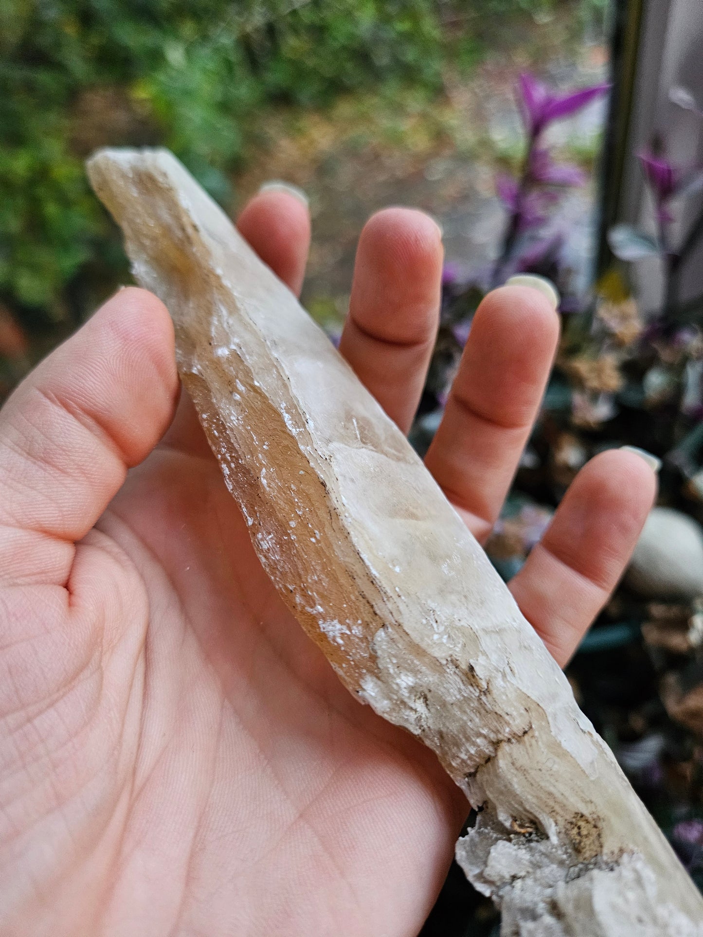 Fishtail Selenite 'dagger'