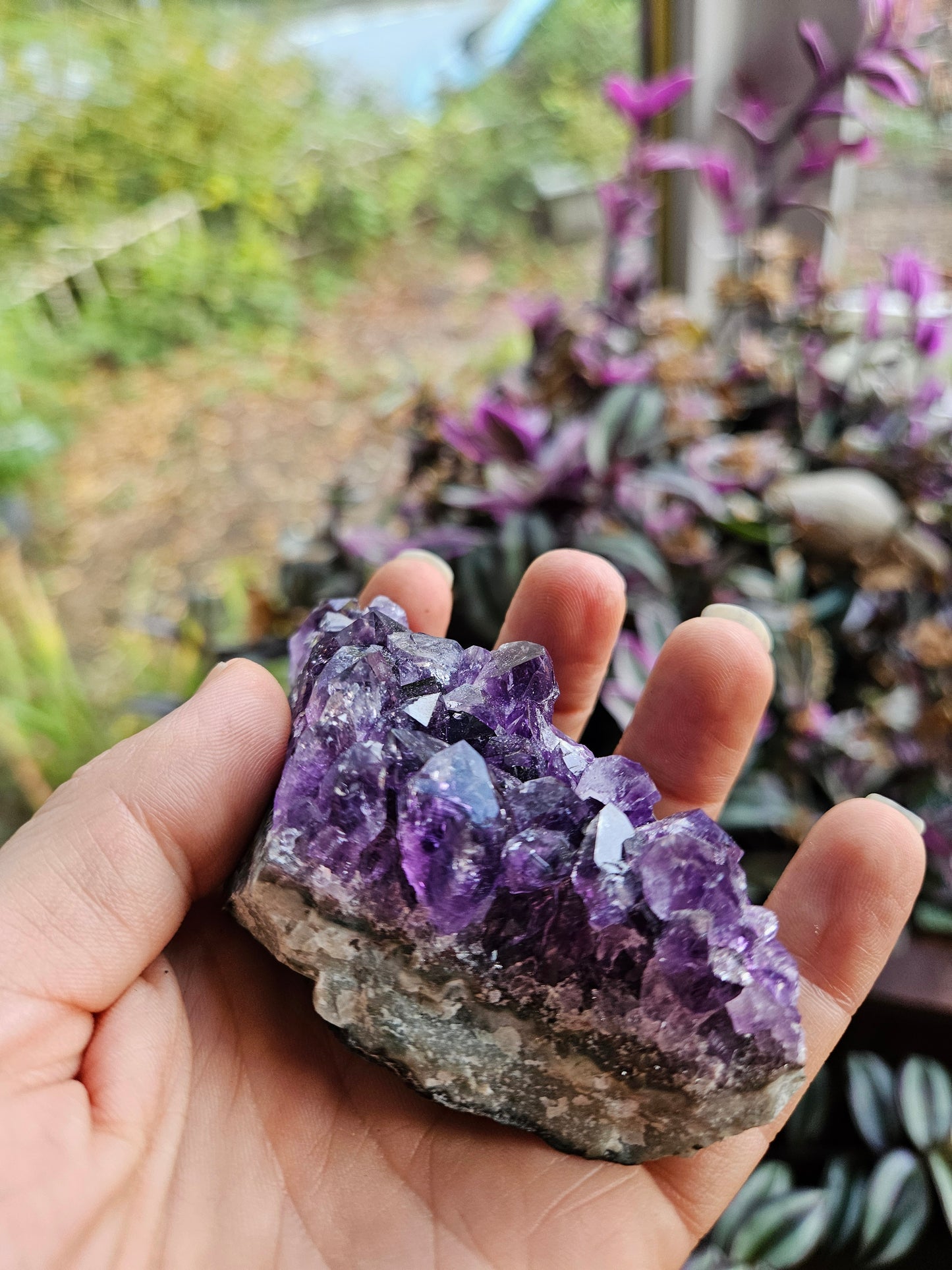 Deep Purple Amethyst