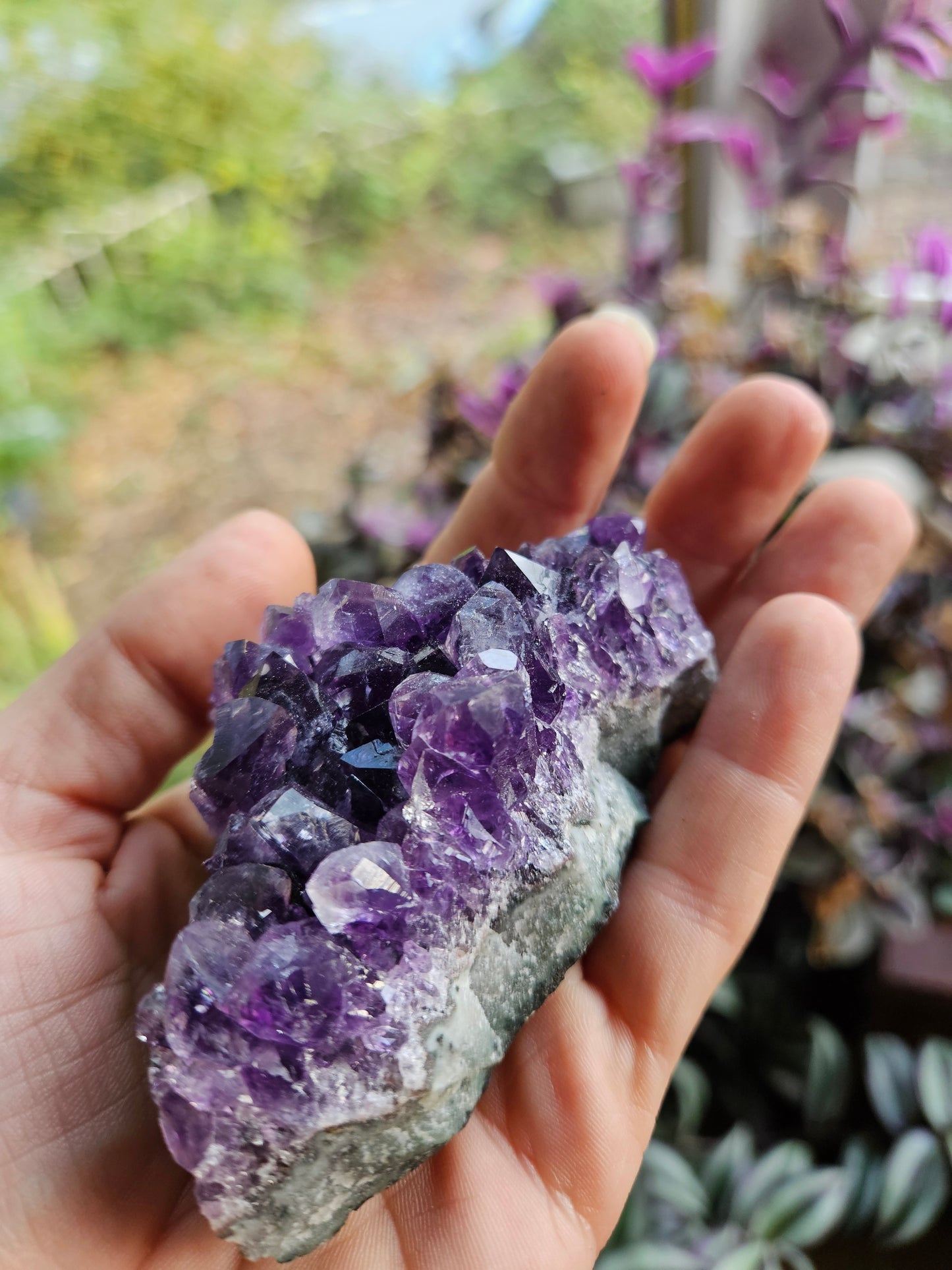 Deep Purple Amethyst