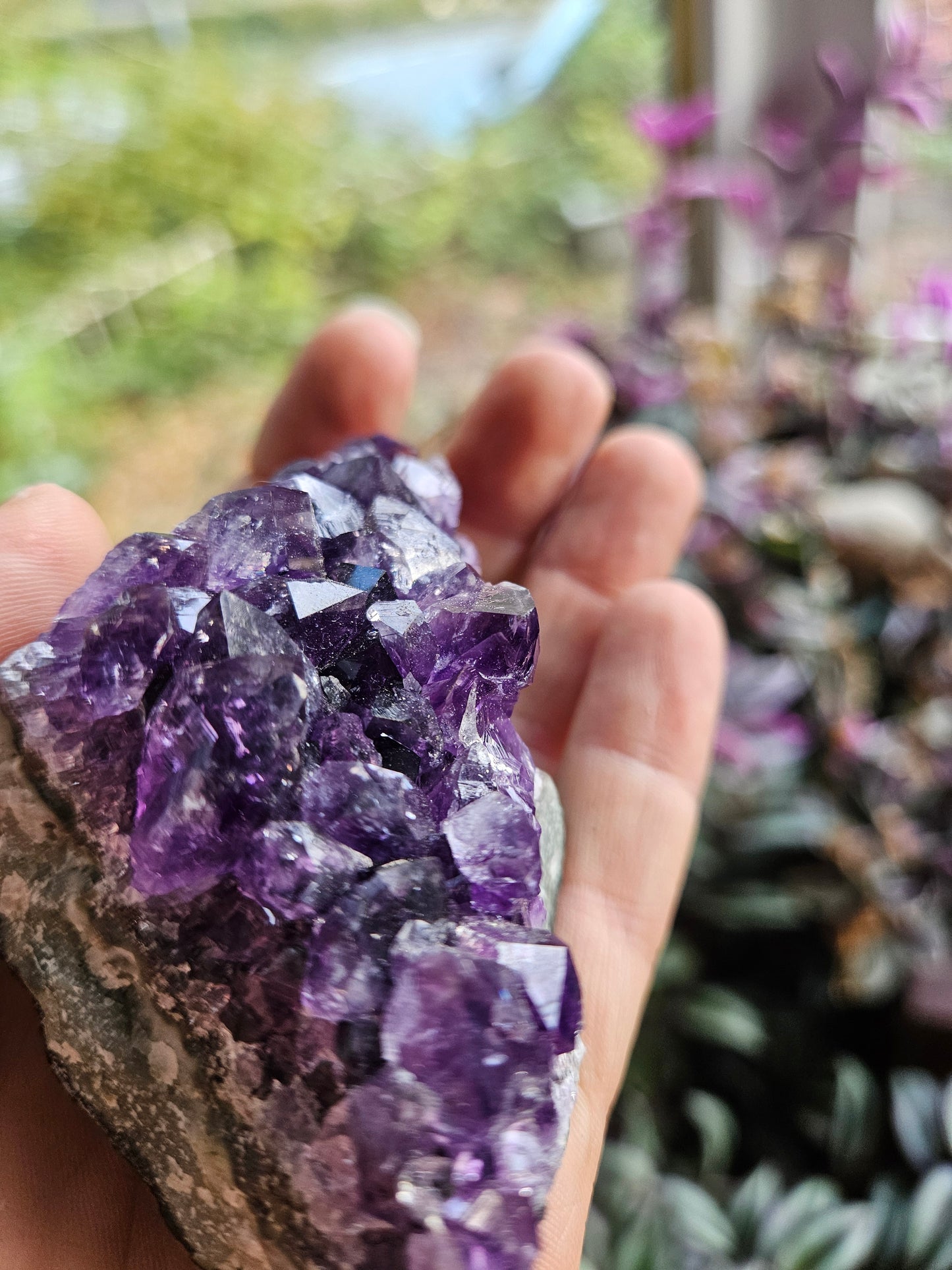 Deep Purple Amethyst