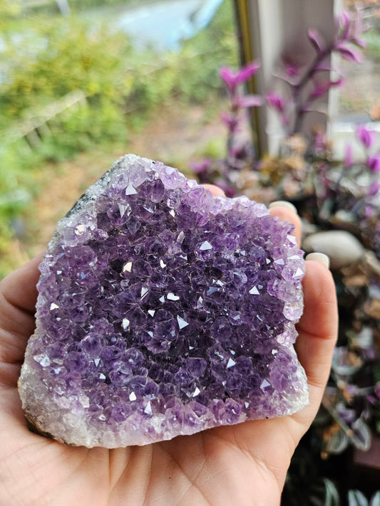 Purple Amethyst 1
