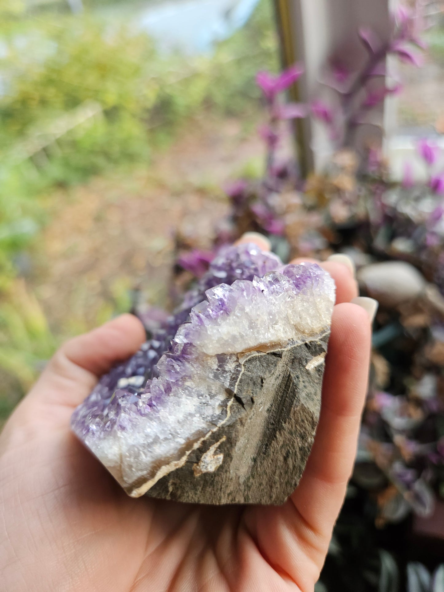 Purple Amethyst 1