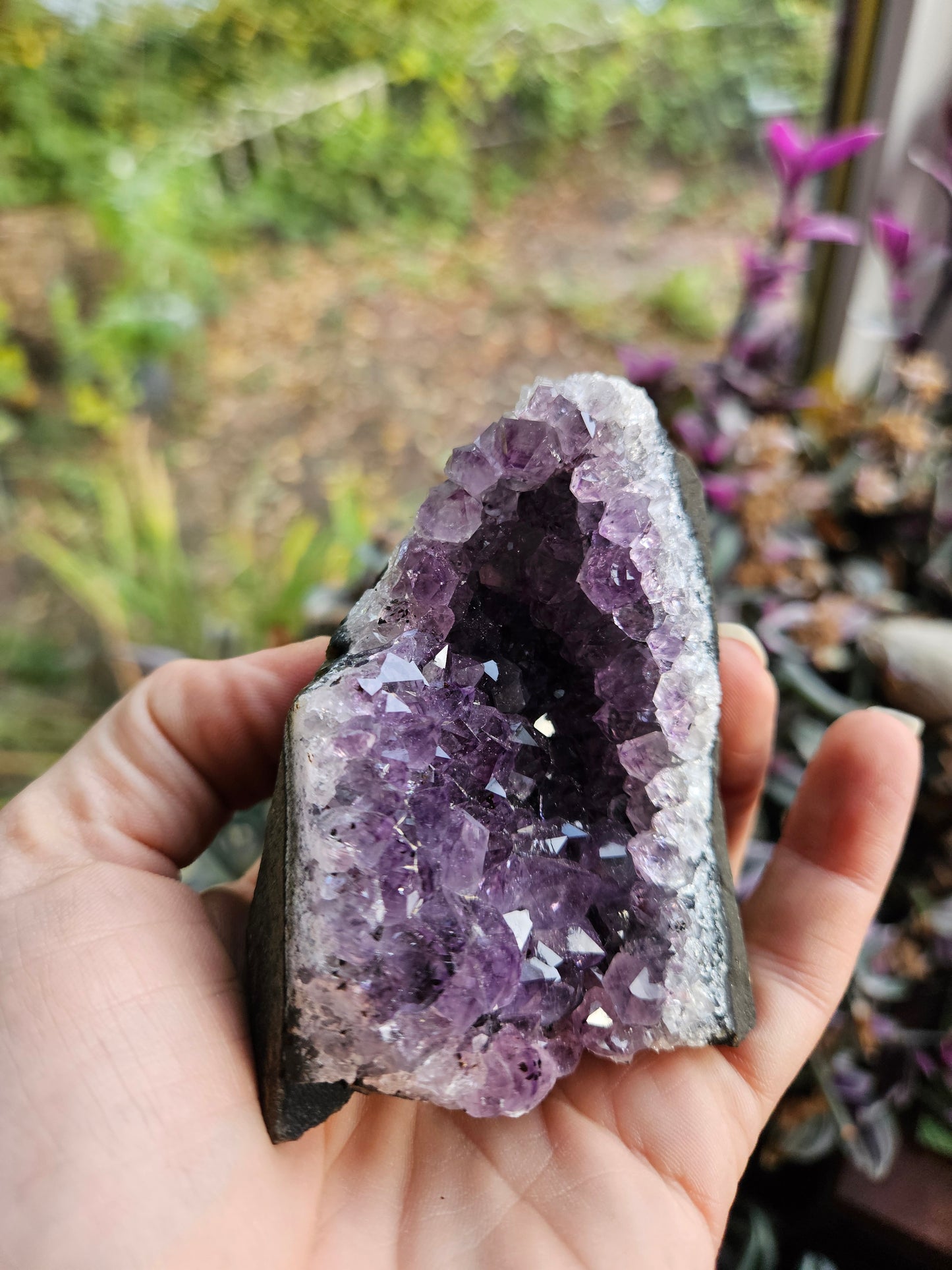 Purple Amethyst 2