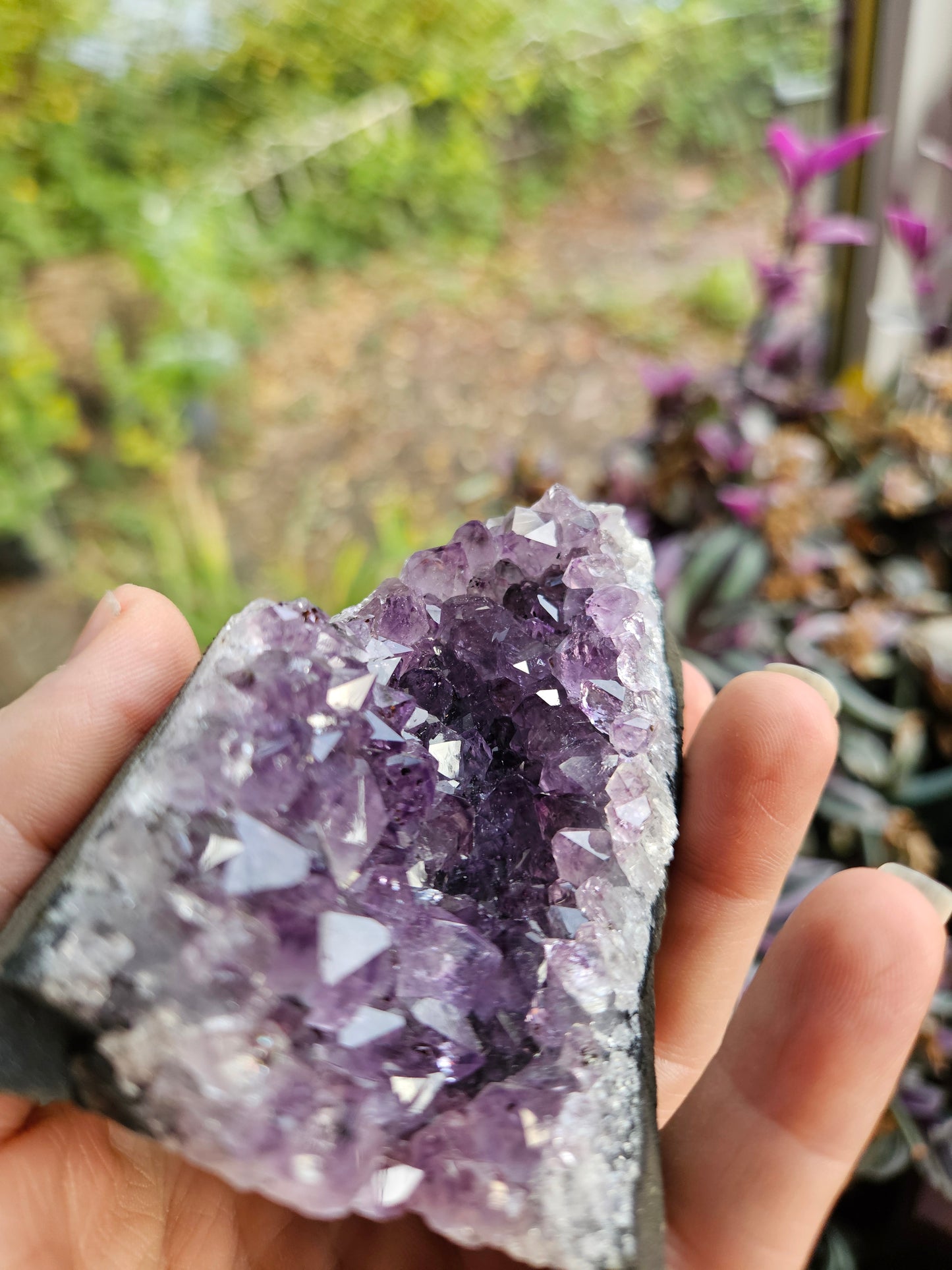 Purple Amethyst 2