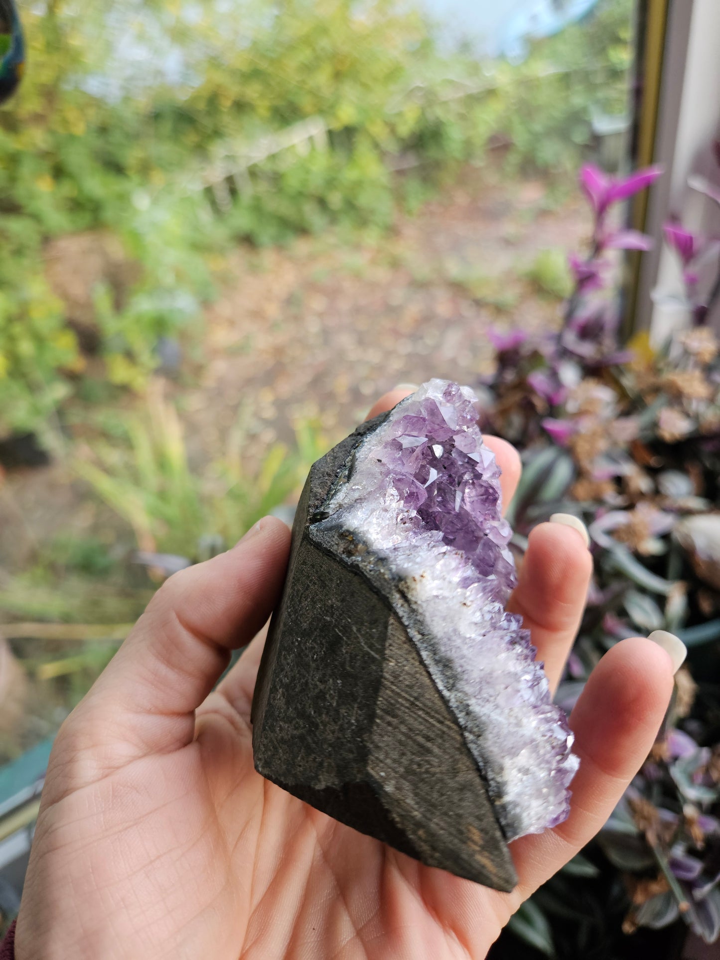Purple Amethyst 2