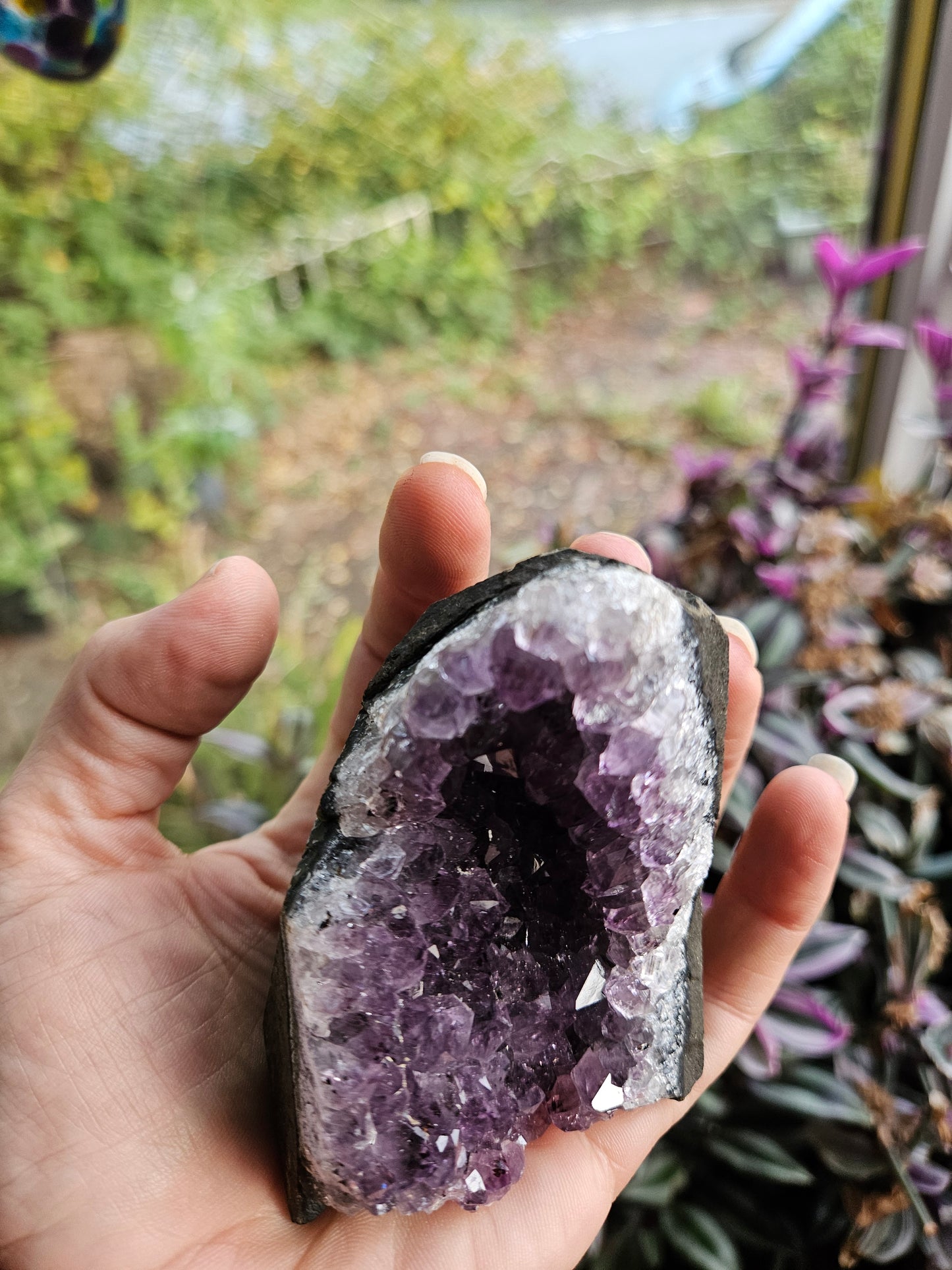 Purple Amethyst 2