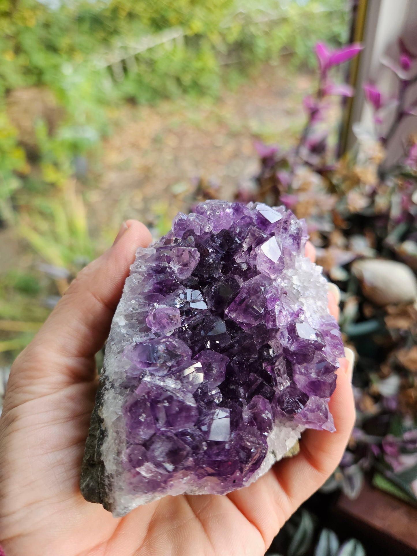 Purple Amethyst 3