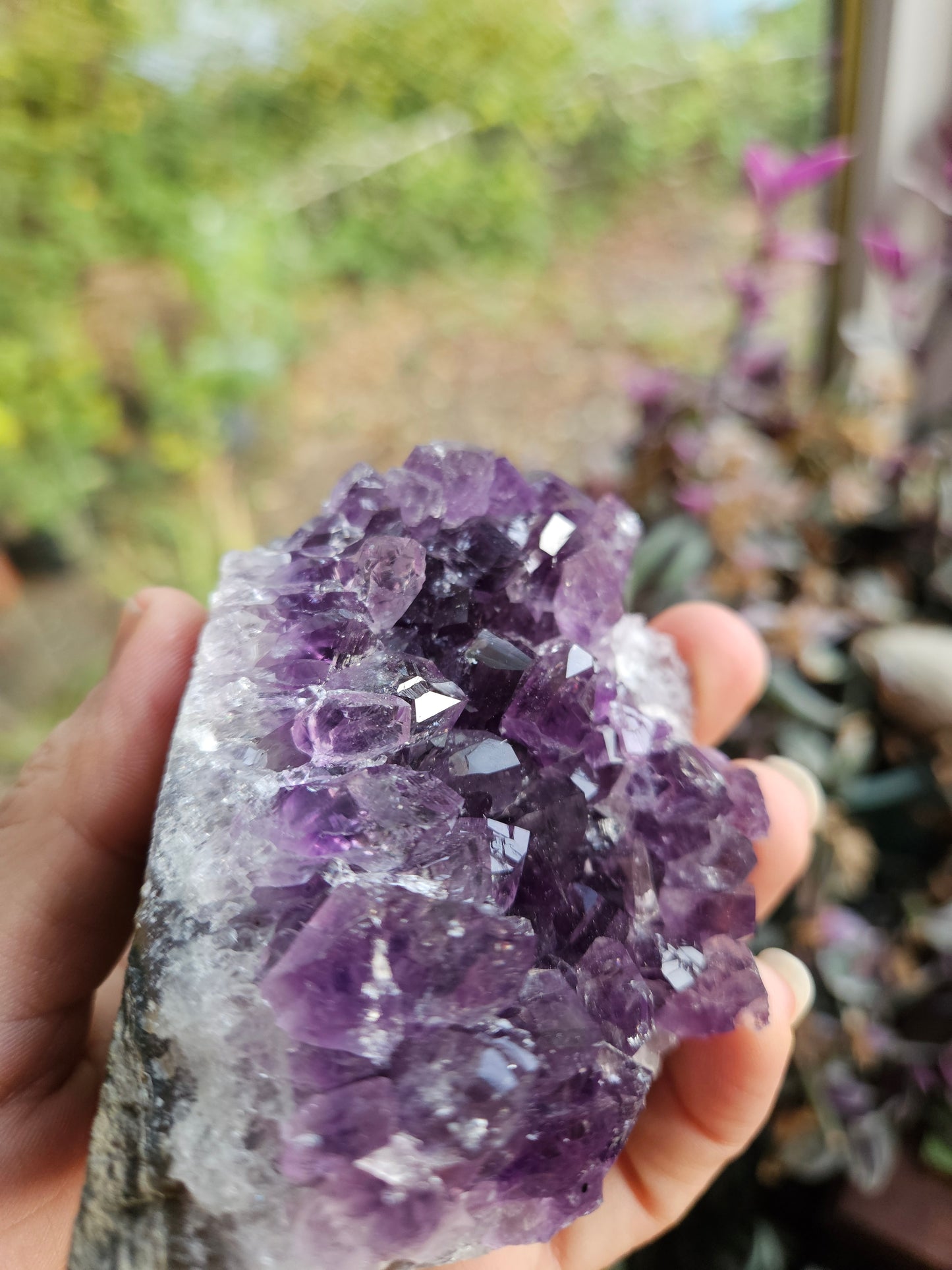 Purple Amethyst 3