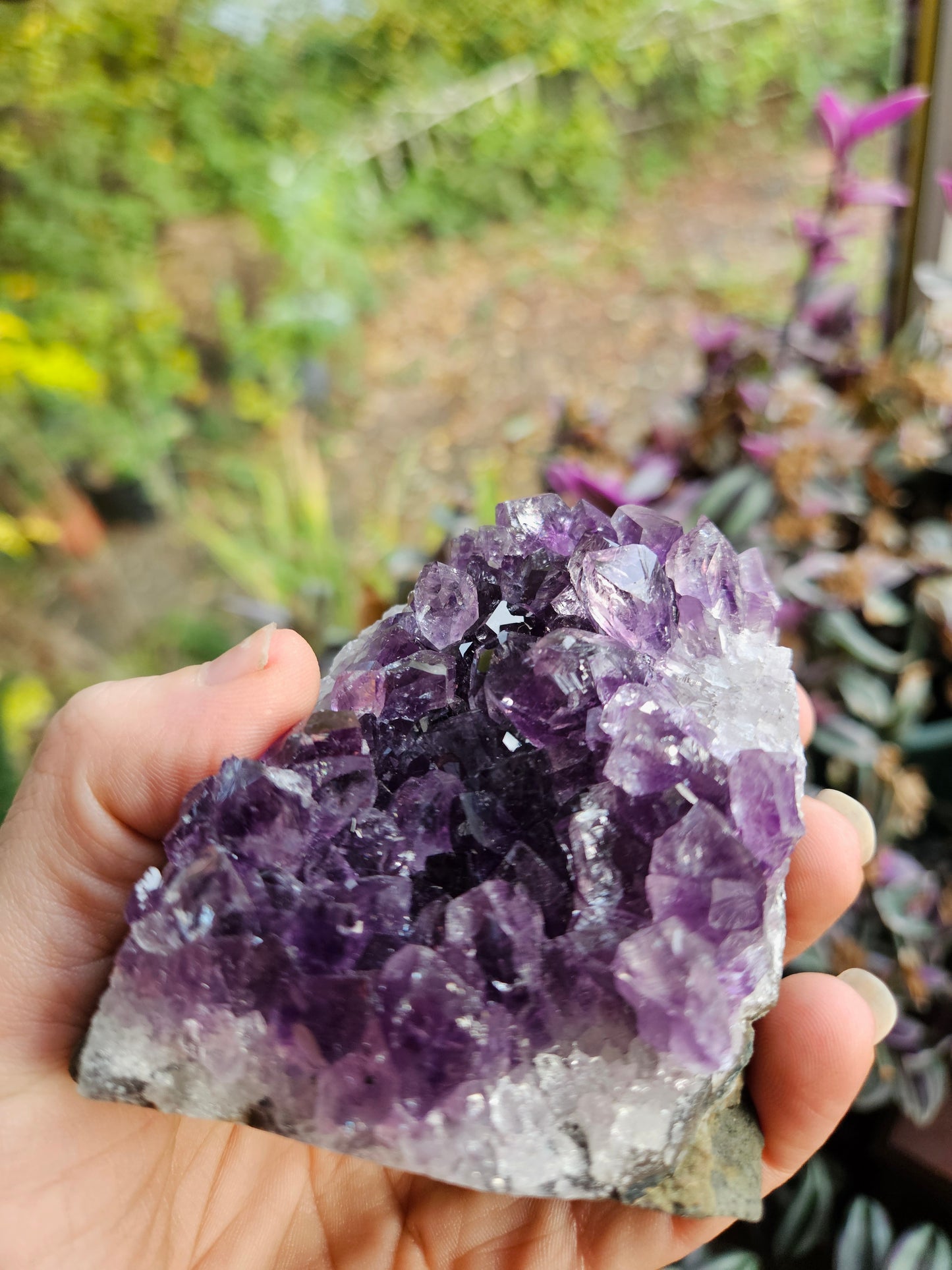 Purple Amethyst 3