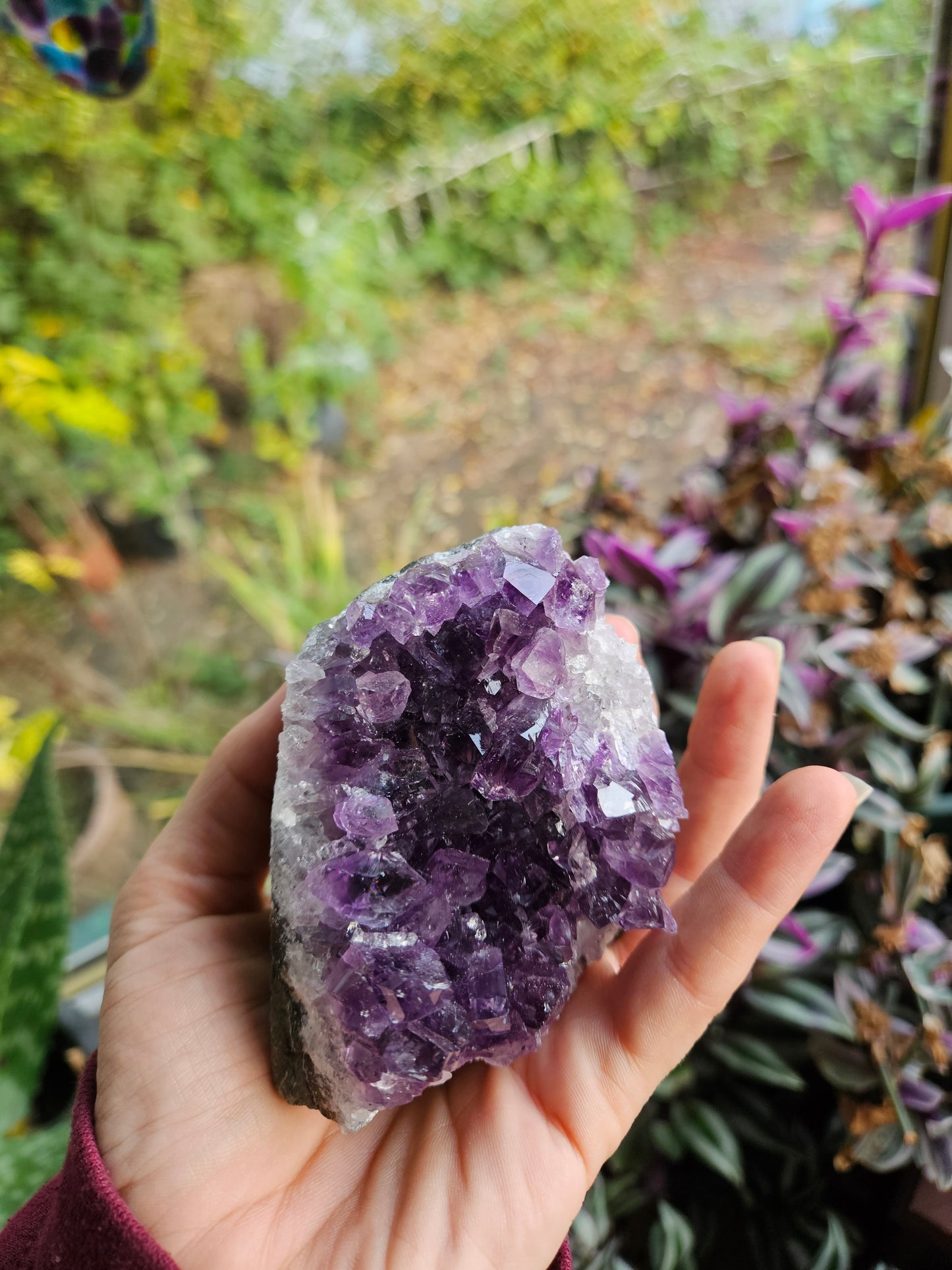 Purple Amethyst 3