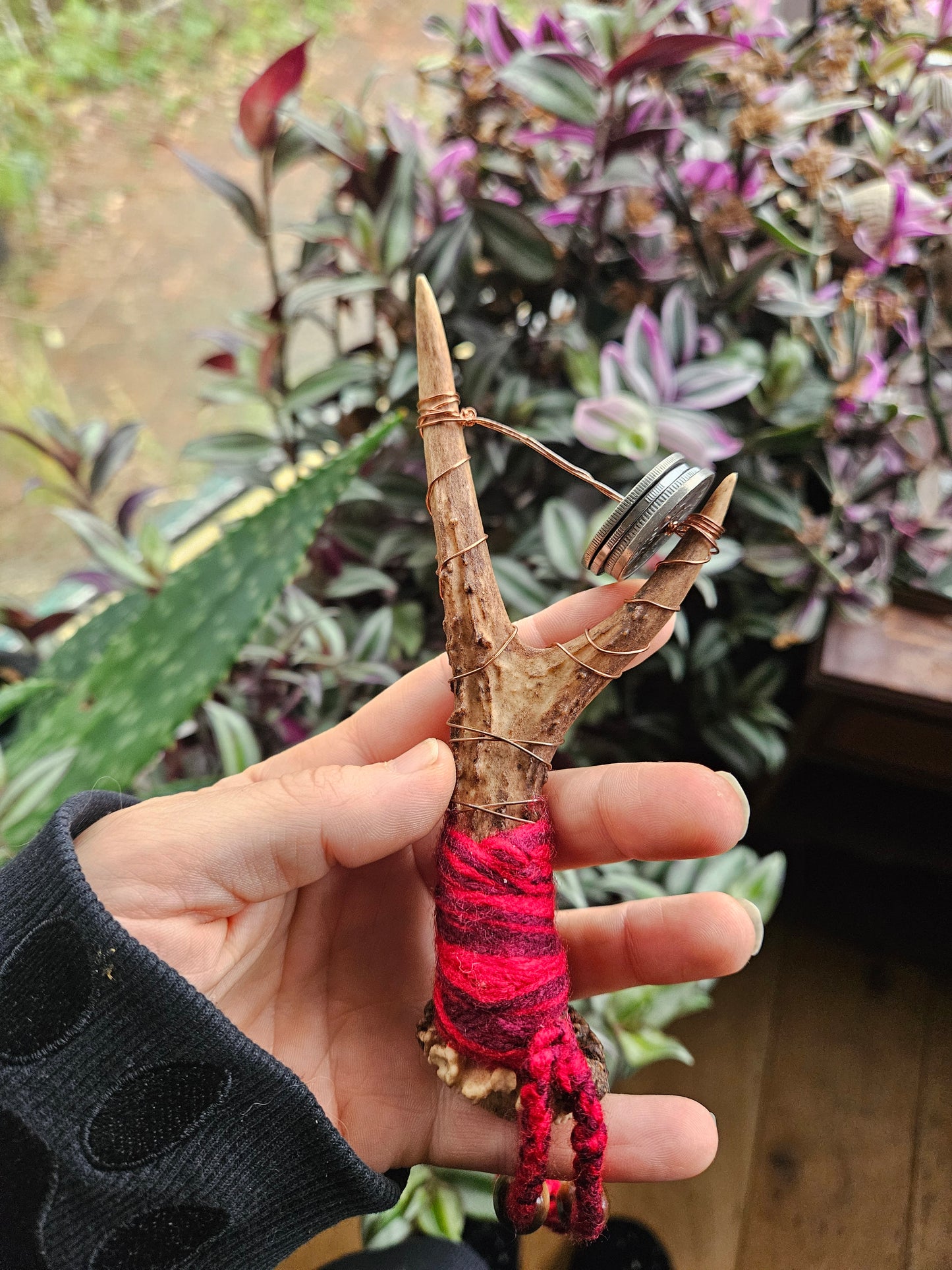Small Scottish Roe Deer Antler Sistrum Rattle Red